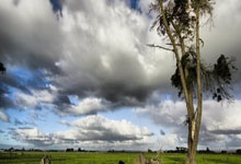 弗洛伦蒂诺打破惯例，为每位皇马球员额外发放25万欧奖金.