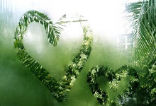 C7娱乐官网：阿根廷总统称赞阿根廷国家队：感谢球队今晚带来的欢乐.