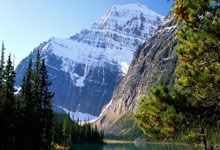 王楚钦3比0科兰尼 晋级亚洲杯16强央视体育.